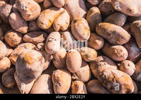 Nahaufnahme vieler saftig reifer Kartoffeln auf der Theke - traditioneller mediterraner Markt - ausgewählte Naturprodukte von höchster Qualität Stockfoto