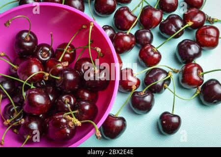 Rote Bio-reife Kirschen auf einer rosa Schale und auf hellblauem Hintergrund Stockfoto