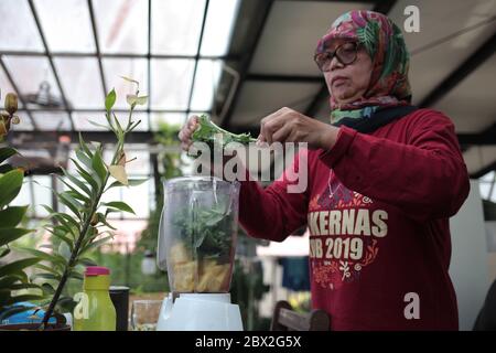 Ida Amal macht einen gesunden Saft aus lokalem Obst und Gemüse, das sie aus ihrem Dachgarten in Serpong gepflückt hat.auf dem Dach und dem Vorgarten ihres Hauses pflanzte Ida verschiedene Arten von lokalen Pflanzen, die täglich verwendet werden können. Der Haushalt auf lokaler Gemüse als eine Lösung inmitten der Bedrohung der Krise durch Coronavirus Pandemie basiert. Im Jahr 2019 stellt der Global Food Security Index fest, dass Indonesien auf Platz 62 von 113 Ländern der Welt liegt, dies stellt ein Agrarland anfällig für Nahrungsmittelkrise. Stockfoto