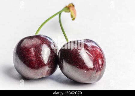Ein paar rote, organische reife Kirschen auf weißem Hintergrund aus nächster Nähe Stockfoto