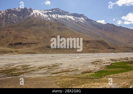 Das breite Bett des Spiti Flusses, flankiert von grünen Feldern im Dorf Kaza in Himachal Pradesh, Indien. Stockfoto