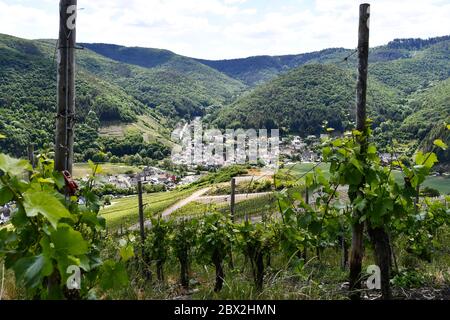 Blick auf die Weinberge und den Wald im Ahrtal bei Rech Stockfoto