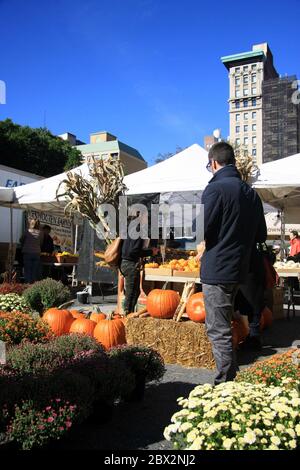 New York City, USA - Okt, 2018: Kürbisstand und Lebensmittelmarkt in New York. Stockfoto