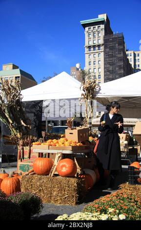 New York City, USA - Okt, 2018: Kürbisstand und Lebensmittelmarkt in New York. Stockfoto