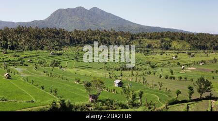 Indonesien, Bali, Ost, Karangasem, nahe Tirta Gangga, erhöhter Panoramablick auf Reisfelder Landschaft und Gunung Agung Vulkan Stockfoto