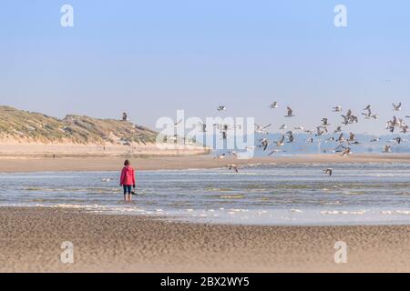 Frankreich, Somme (80), Baie de Somme, Quend-Plage, Spaziergänger am Strand Stockfoto