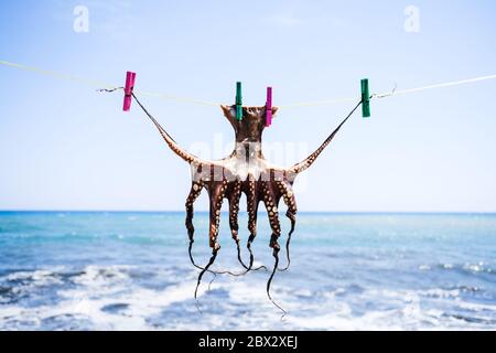 Octopus Trocknung auf einer Linie in Kreta, Griechenland Stockfoto