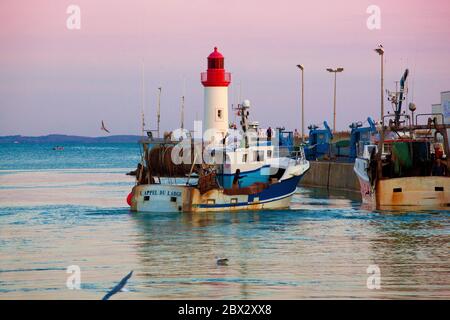 Frankreich, Charente-Maritime (17), chalutiers à quai sur le Port de la Cotinière à Saint-Pierre d'Oléron Stockfoto