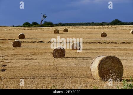 Frankreich, Doubs, Brognard, Tablett, Strohballen Stockfoto