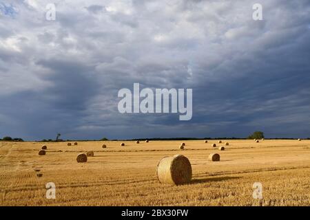 Frankreich, Doubs, Brognard, Tablett, Strohballen Stockfoto