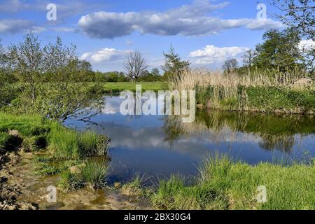 Frankreich, Territoire de Belfort, Bourbeuse-Tal im Frühling Stockfoto