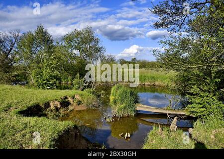 Frankreich, Territoire de Belfort, Bourbeuse-Tal im Frühling Stockfoto