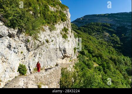 Frankreich, Drôme (26), regionaler Naturpark Vercors, Rousset-en-Vercors, Montagne de Nève, Wanderer auf einem Wanderpfad, der von einer niedrigen Steinmauer zwischen dem Rousset-Pass (1249m) und dem Chironne-Pass (1416m) begrenzt ist Stockfoto