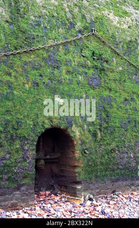 Moosbedeckte grüne Ufermauer Stockfoto