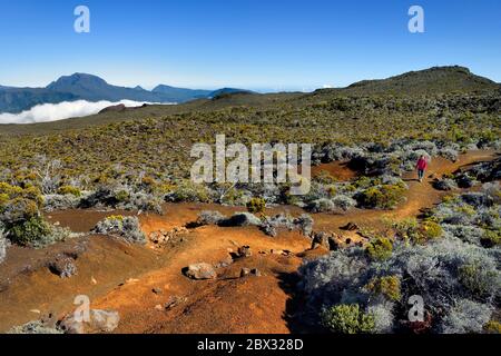 Frankreich, Réunion (französisches Überseedepartement), Reunion Nationalpark, der von der UNESCO zum Weltkulturerbe erklärt wurde, an den Hängen des Vulkans Piton de la Fournaise, Wanderer auf dem Ste Therese Oratorialweg, der mit Lapilli bedeckt ist, über der Plaine des Sables, im Hintergrund im Norden der Piton des Neiges Stockfoto