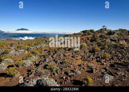 Frankreich, Réunion (französisches Überseedepartement), Reunion Nationalpark, der von der UNESCO zum Weltkulturerbe erklärt wurde, an den Hängen des Vulkans Piton de la Fournaise, Wanderer auf dem Ste Therese Oratorienpfad über der Plaine des Sables, im Hintergrund im Norden der Piton des Neiges Stockfoto