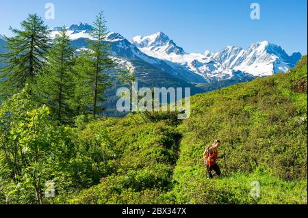 Frankreich, Haute-Savoie (74), Mont Blanc Massiv, Vallorcine, Wanderer auf dem Weg zum Col du Passet (1950m), mit der Aiguille de Chardonnet (3824m) auf der linken Seite, die Aiguille Verte (4122m) und Les Drus (3754m) auf der rechten Seite Stockfoto