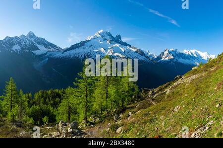 Frankreich, Haute-Savoie (74), Mont Blanc Massiv, Argentière, Aussichtspunkt von der GFK Tour du Pays du Mont-Blanc mit links der Aiguille de Chardonnet (3824m), leicht rechts der Mont Dolent (3820m) gefolgt von der Aiguille Verte (4122m), Die Drus (3754m) und rechts die Aiguilles de Chamonix und schließlich der Mont-Blanc (4808m) Stockfoto