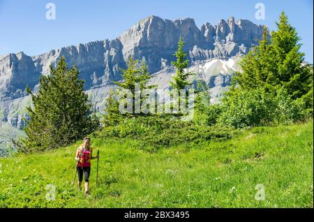 Frankreich, Haute-Savoie (74), Mont Blanc Massiv, Les Houches, Wanderer, die in Richtung der Chalets de Pormenaz mit dem Rochers des Fiz im Hintergrund klettern Stockfoto