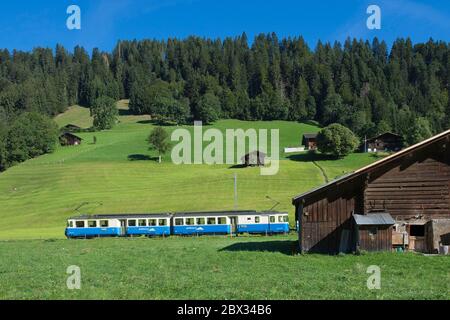 Schweiz, Kanton Waadt, Land Enhaut, Goldenpass-Zug, Passage in den Wiesen von Chateau d'Oex, Stockfoto