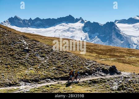 Frankreich, Savoie (73), Haute-Maurienne, Nationalpark Vanoise, Bonneval-sur-Arc, Wanderer auf der GR de Pays Tour de la Haute-Maurienne mit den Gipfeln der französisch-italienischen Grenze im Hintergrund Stockfoto