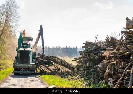 Frankreich, Somme (80), Crécy-en-Ponthieu, Forêt de Crécy, Herstellung von Hackschnitzeln (ONF Energie Bois), Zerkleinerung auf dem Grundstück wird das am Straßenrand gelagerte Holz mit Zerkleinerern zerkleinert, die die Späne in Späne oder Lastwagen gießen, um direkt Kesselräume oder Lagerräume zu versorgen Stockfoto