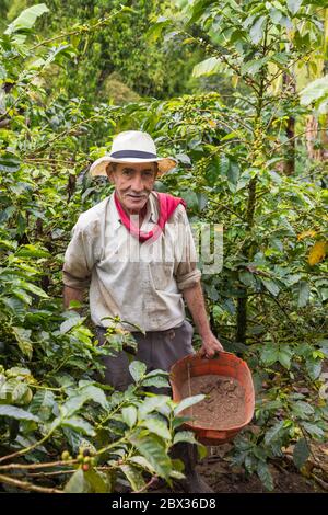 Kolumbien, Quindio Department, Salento, Kulturlandschaft von kolumbien Kaffee, Finca Don Elias, ökologische Kaffeeplantage Stockfoto