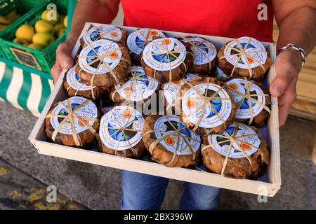 Frankreich, Alpes de Haute Provence, Banon, Ziegenkäse Stockfoto
