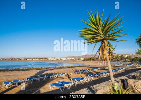 Spanien, Kanarische Inseln, Lanzarote, Puerto del Carmen, Playa de los Pocillos Stockfoto