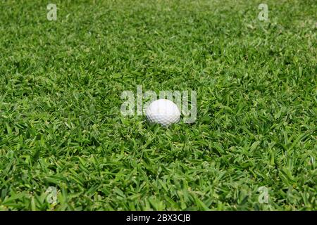 Ein gebrauchter Golfball isoliert auf frisch geschnittenem grünem Gras. Geringe Schärfentiefe Stockfoto