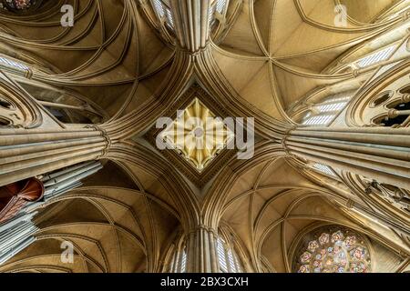 Blick auf die Decke in der Truro Kathedrale in Cornwall Stockfoto