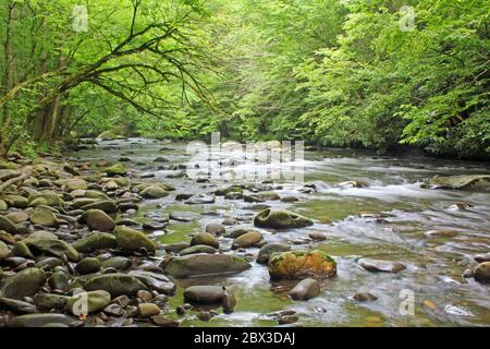 Grüne Dämmerung über Pigeon River - Tennessee Stockfoto