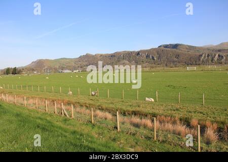 Die Nebenstraßen von NorthWales Stockfoto