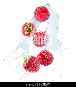 Himbeeren im Wasser spritzen auf einem weißen Hintergrund isoliert. Stockfoto