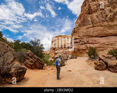 Wunderschöne Landschaft rund um den Hickman Bridge Trail des Capitol Reef National Park in Utah Stockfoto