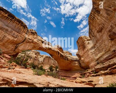 Sonnige Aussicht auf die Hickman Bridge des Capitol Reef National Park in Utah Stockfoto