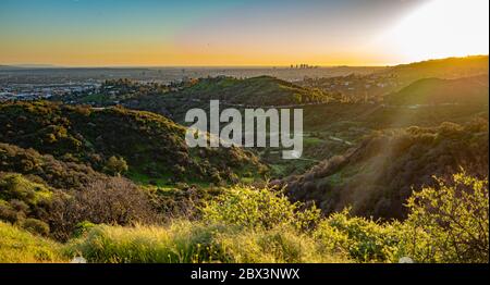 Panoramablick auf Los Angeles vom Observatorium Stockfoto