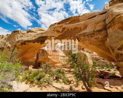 Wunderschöne Landschaft rund um den Hickman Bridge Trail des Capitol Reef National Park in Utah Stockfoto