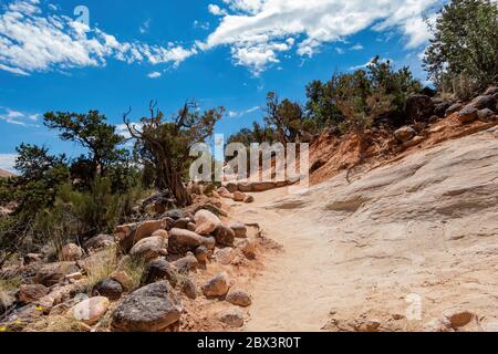 Wunderschöne Landschaft rund um den Hickman Bridge Trail des Capitol Reef National Park in Utah Stockfoto