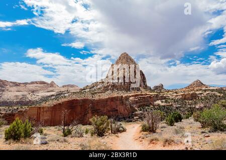 Wunderschöne Landschaft rund um den Hickman Bridge Trail des Capitol Reef National Park in Utah Stockfoto