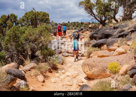 Wunderschöne Landschaft rund um den Hickman Bridge Trail des Capitol Reef National Park in Utah Stockfoto