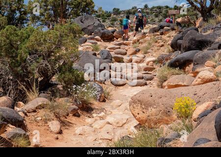 Wunderschöne Landschaft rund um den Hickman Bridge Trail des Capitol Reef National Park in Utah Stockfoto