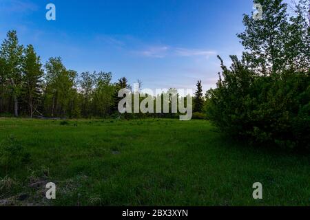 Ein malerischer Blick auf eine natürliche Lichtung, umgeben von einem dichten Wald mit einem schönen dunkelblauen Abendhimmel im Hintergrund Stockfoto