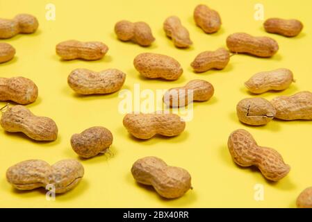 Erdnusshaufen in Muschelwiederholung auf gelbem Hintergrund. Typische Prise Juni Party (Festa Junina) Stockfoto