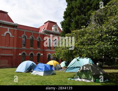 Blick auf eine Zeltstadt, die von obdachlosen Straßenbewohnern auf einer Wiese neben dem Rathaus in der Innenstadt von Victoria, British Coumbia, Kanada, auf Vancouver Island aufgestellt wurde. Stockfoto