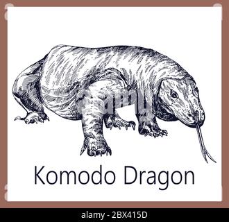 Hand gezeichnete Skizze Stil Komodo Drachen isoliert auf weißem Hintergrund. Vektorgrafik. Stock Vektor