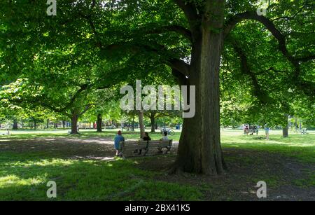 Toronto, Kanada. Juni 2020. Am 4. Juni 2020 üben Menschen im Trinity Bellwoods Park in Toronto, Kanada, soziale Distanzierung. Der kanadische Premierminister Justin Trudeau warnte am Donnerstag, dass die COVID-19-Pandemie in Kanada weiterhin ernst ist. Kredit: Zou Zheng/Xinhua/Alamy Live News Stockfoto