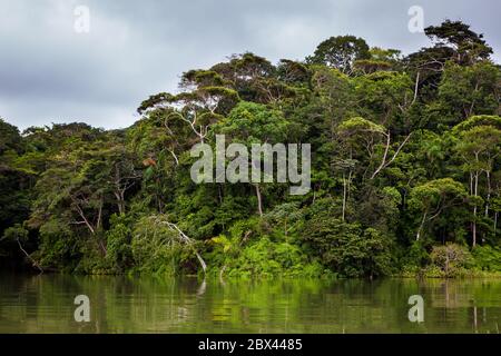 Üppiger Regenwald auf der Westseite des Panamakanals, Republik Panama. Stockfoto