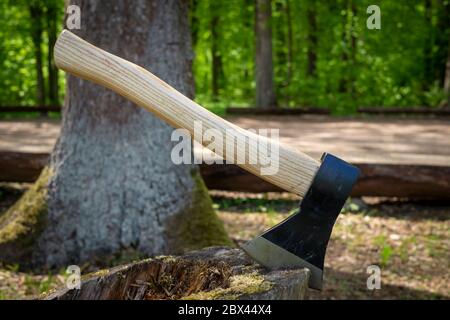 Chopper oder Axt stehend aufrecht in einem alten Baumstumpf im Freien vor einem Waldgrund im Frühjahr Stockfoto