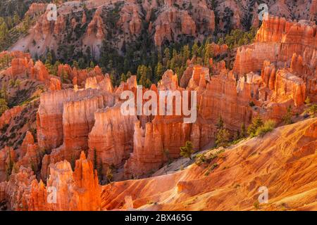 Hoodoos im Bryce Canyon, beleuchtet von frühmorgendlichen Sprunglicht, gesehen vom Inspiration Point im Bryce Canyon National Park, Utah. Stockfoto